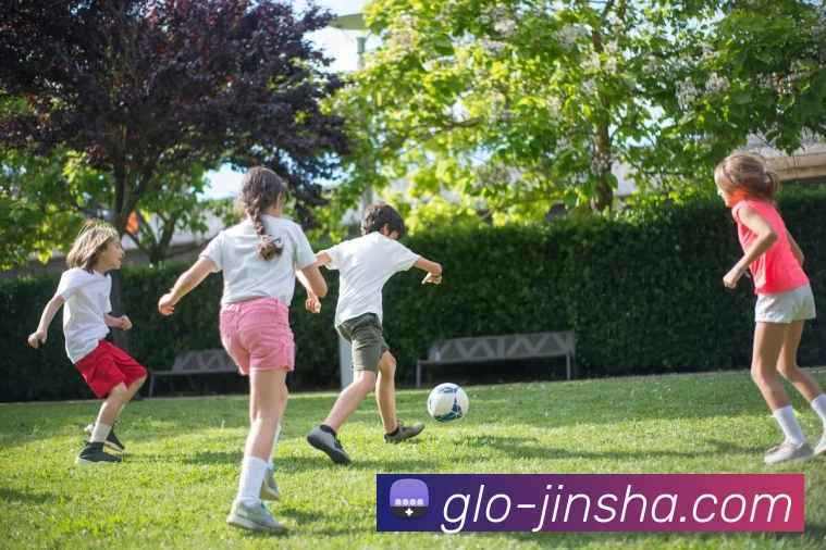 App Interface Preview