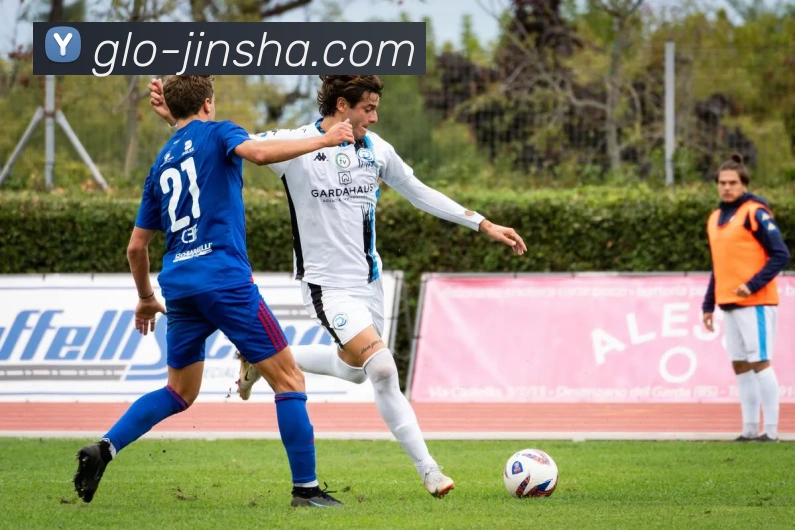 金沙官网APP 封面图